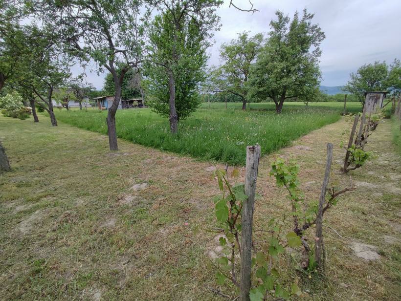 Chata pod Lipov - 11