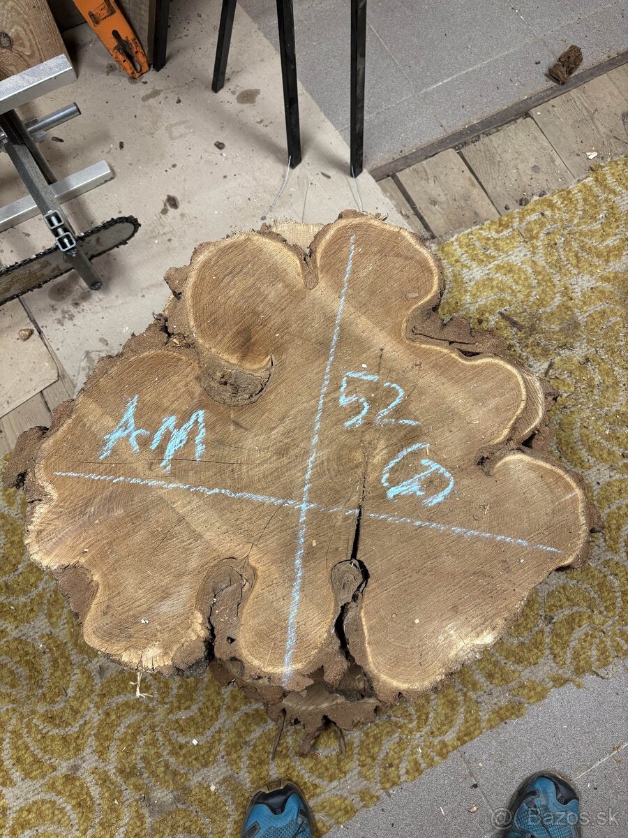 Vysušené agátové koláče / priečne rezy, agát - 11