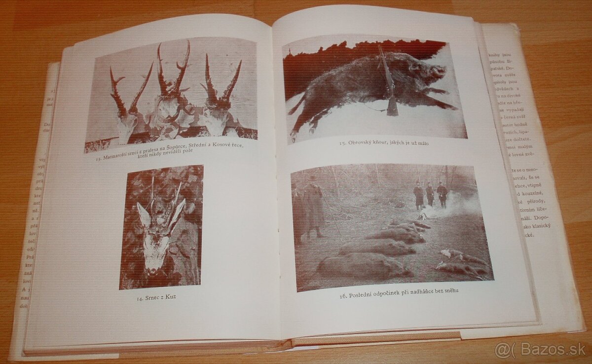 Lovy v Karpatech - 11