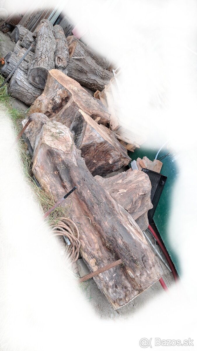 Predam orechove drevo - 11