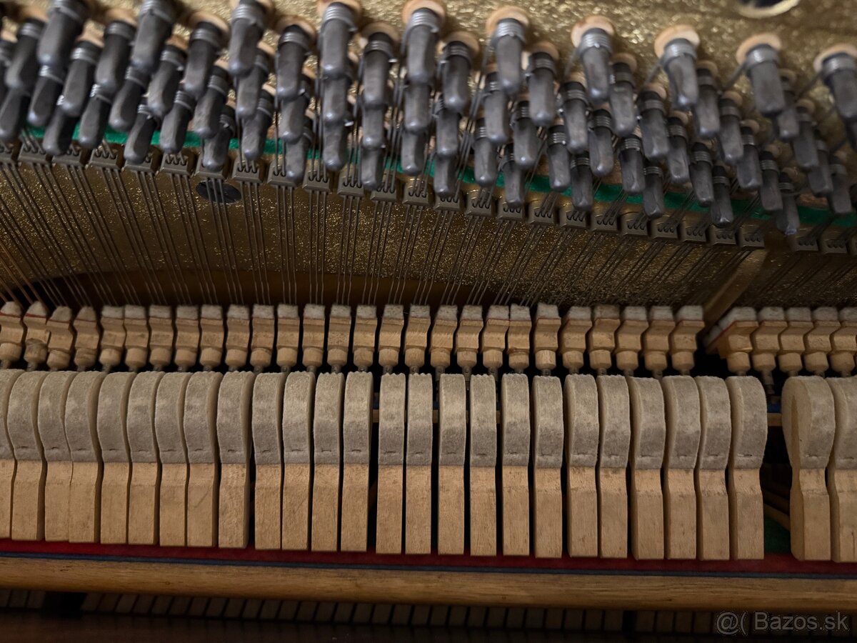 Pianíno Scholze - 11