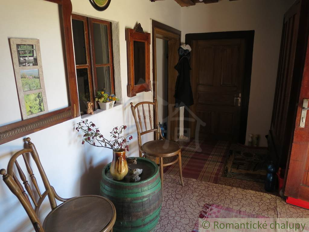 Rozsiahla vinica s historickou chatou v Slovenskom krase - 11