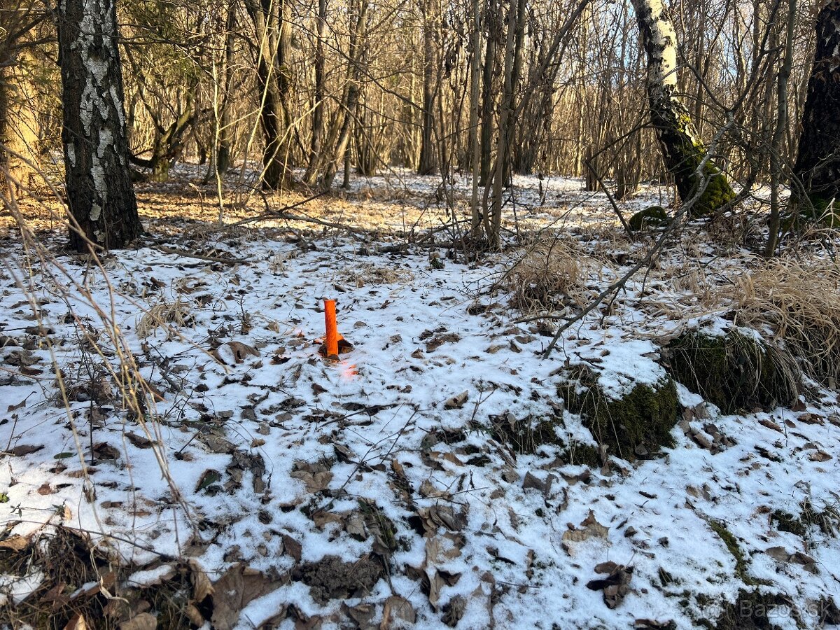 PREDAJ lesný pozemok, Chotár, Nová Baňa, 10 842 m2 - 11