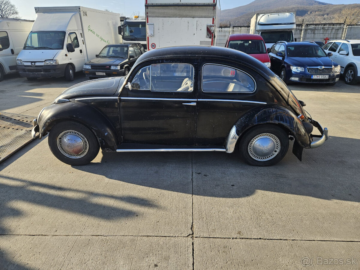 Volkswagen chrobak OVAL 1956 s TP - 11