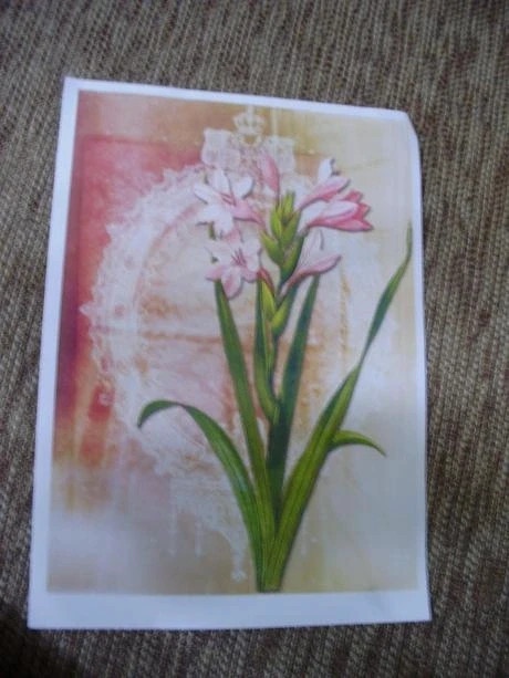 Nite na šitie,cievky,šablóny,látky bavlna,vatelín,panel,vlny - 11