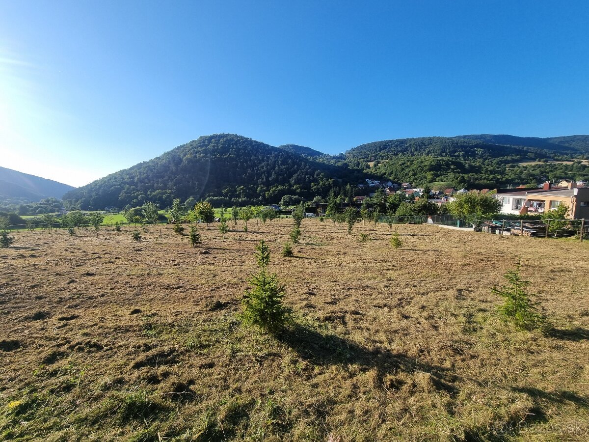 Mulčovanie, kosenie , čistenie pozemkov, štiepkovanie - 11