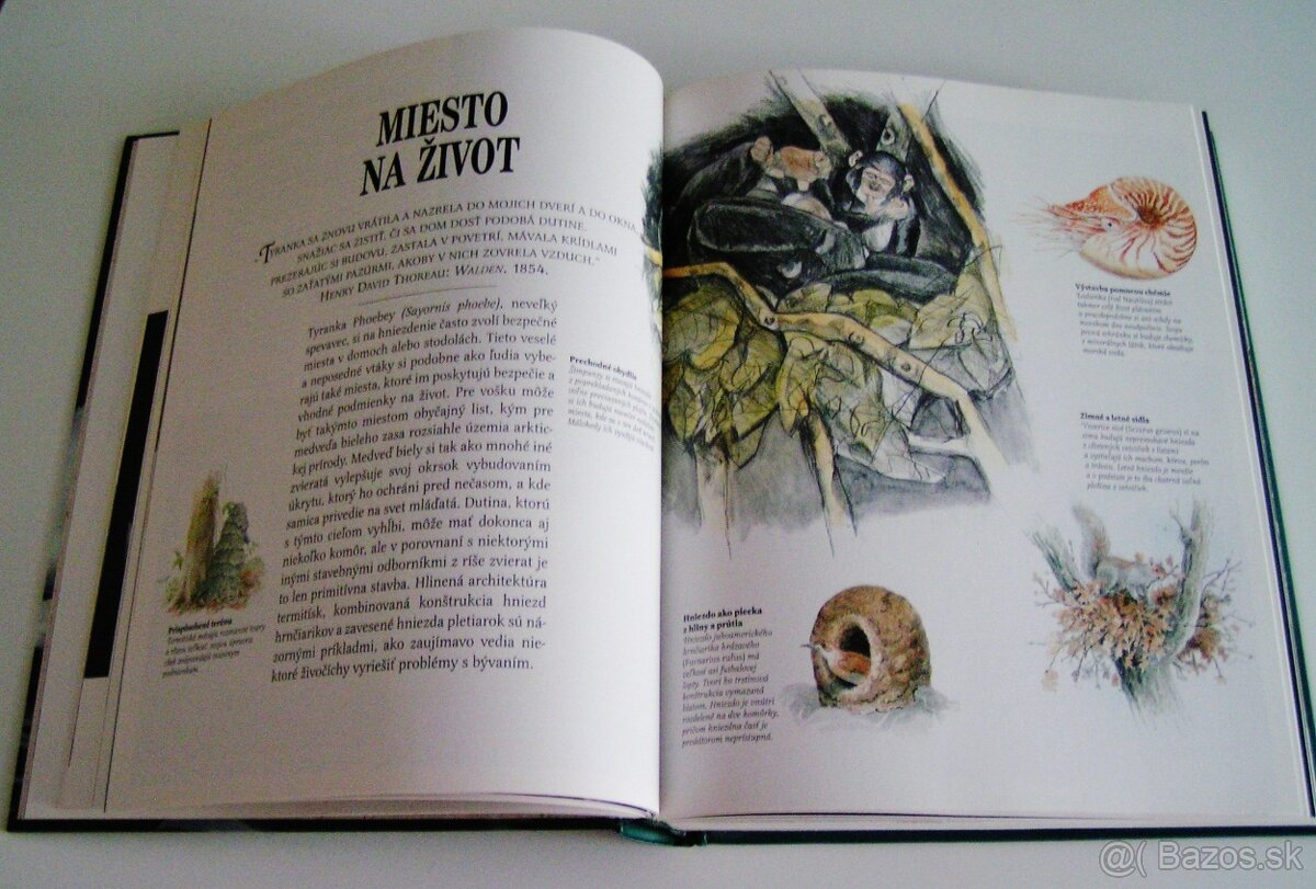 Detské knihy a knihy pre mládež - 11