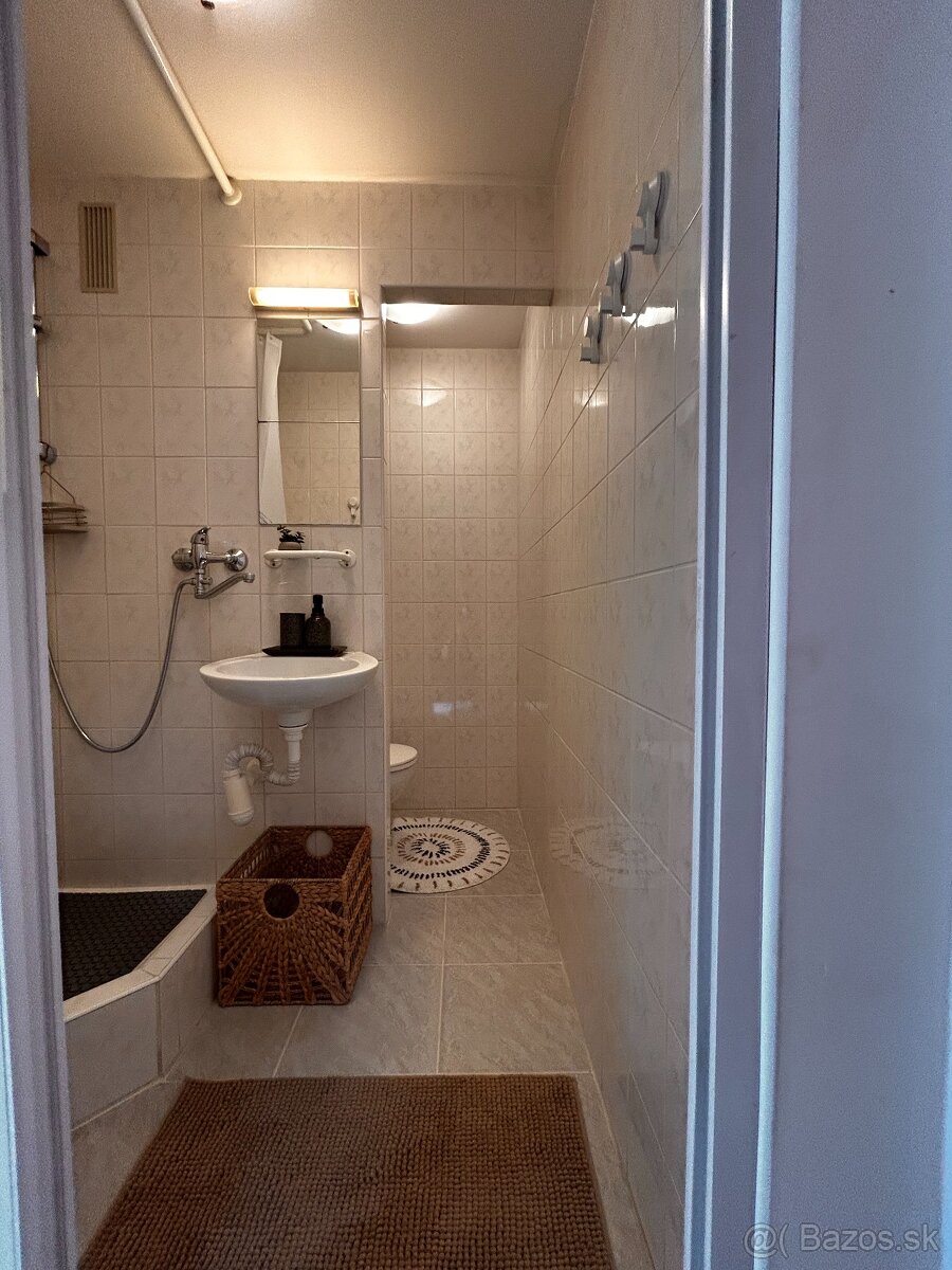 PET friendly útulná garsónka - 11