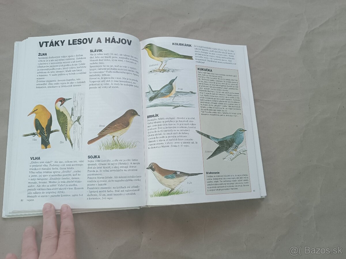 Renée Kayser: Priateľ lesa - 11