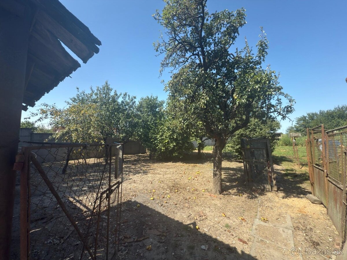 Na predaj: Štvorizbový rodinný dom s veľkým pozemkom – Tešed - 11