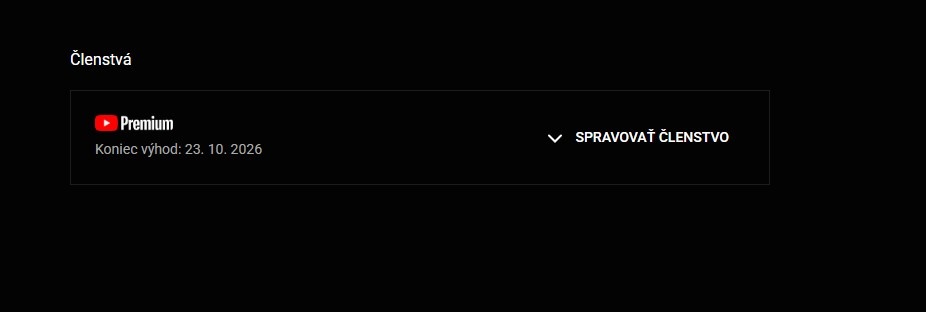 YouTube PREMIUM 12/24 M (AKCIA) - 11