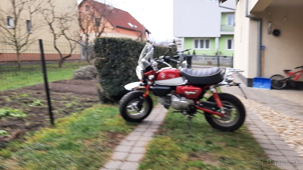 Honda Monkey 125 - 11