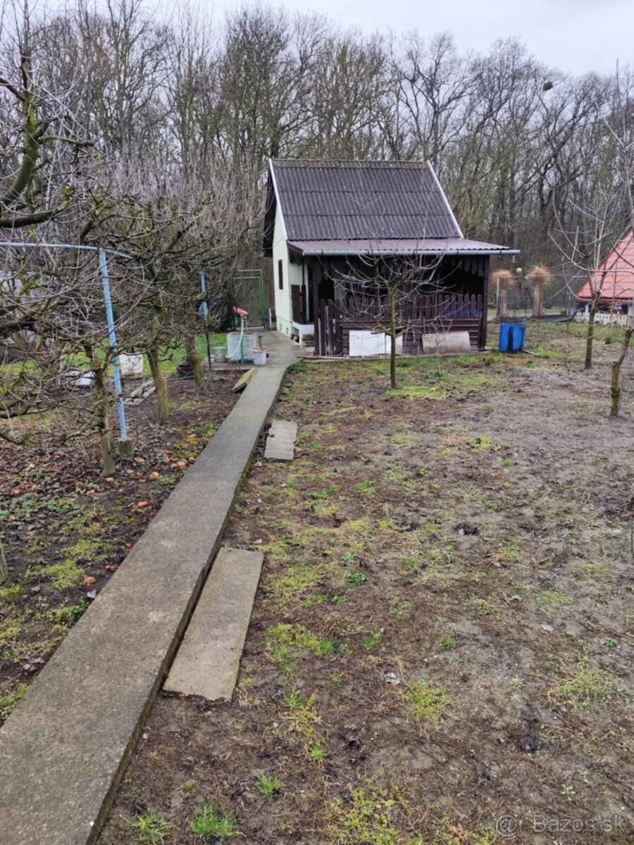 Záhrada vo Veľkom Mederi - 11
