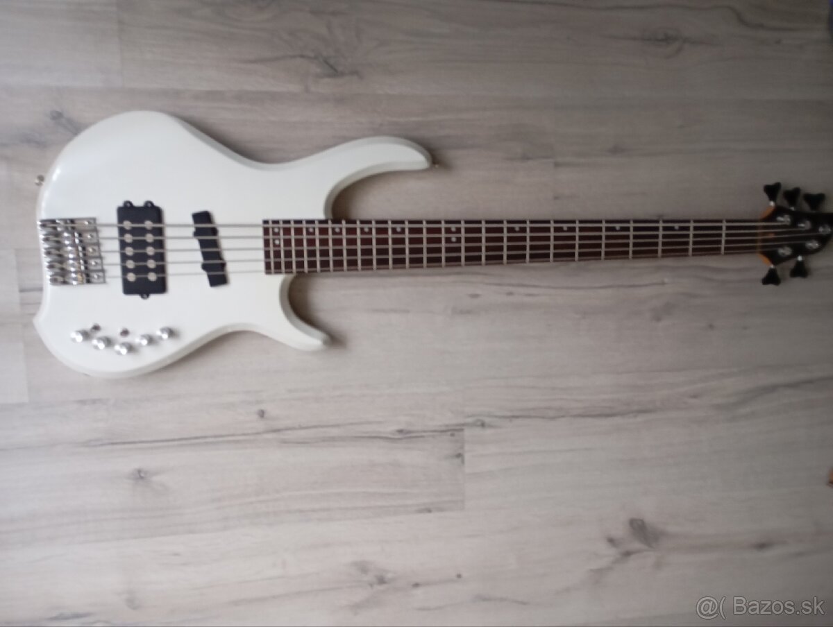 REZERVOVANÉ -5 strunová basgitara - 11