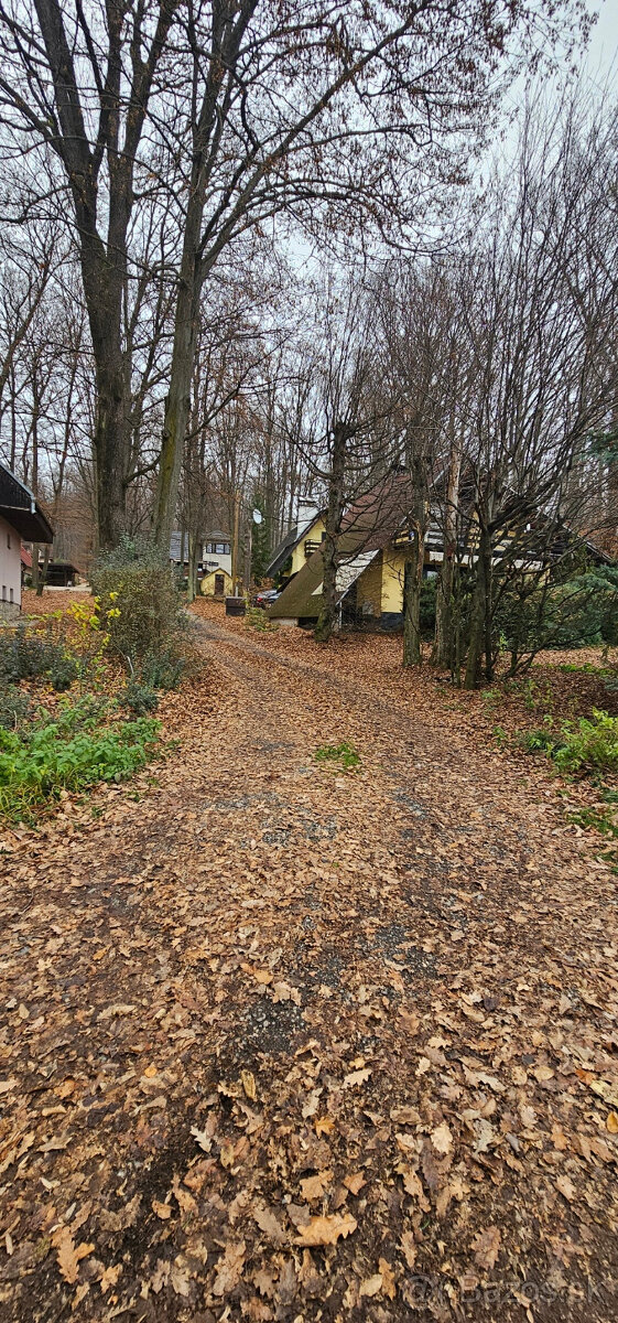 Dom na brehu riečky - 11