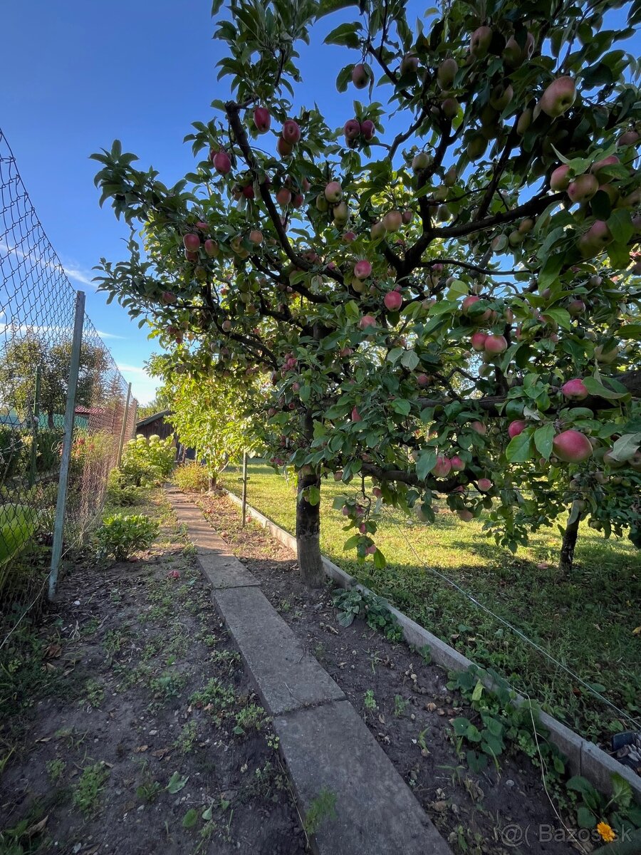 Záhradka s domčekom (400m2) - Mestský majer - 11