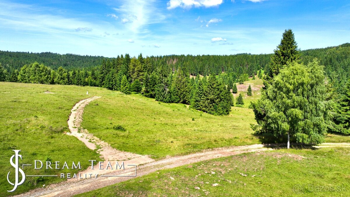 Stavebný pozemok 2.2ha v krásnom prostredí Látky okr. Detva - 11