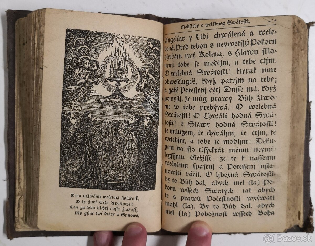 Stepná zahradka 1850 - 11