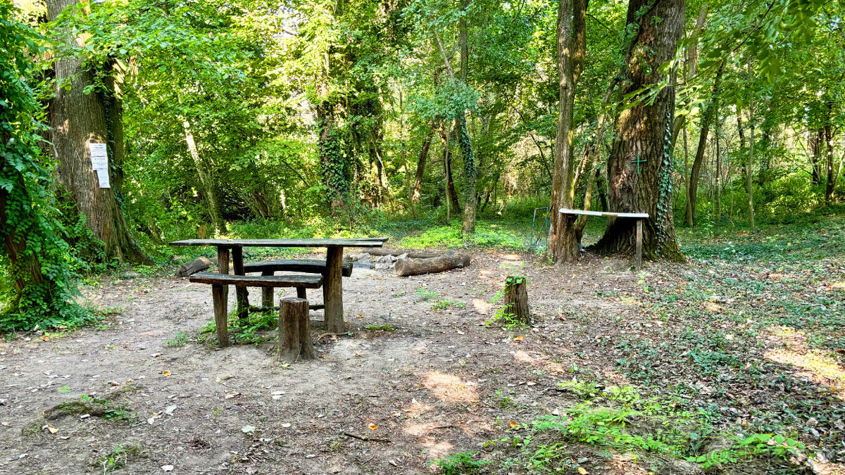 Nádherný pozemok Bernolákovo, pri obci, BLÍZKO RIEKY A CESTY - 11