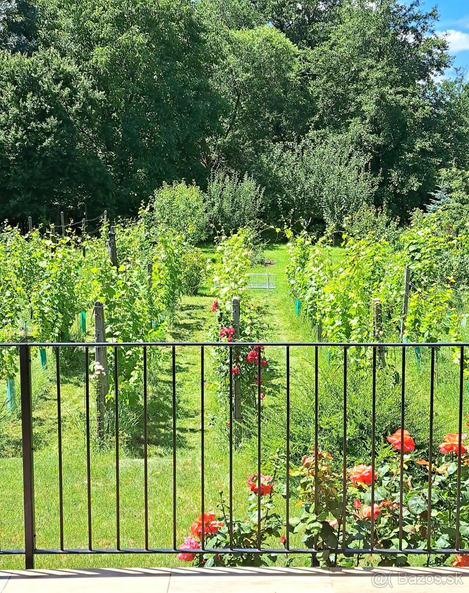 PREDAJ - rodinný dom v obci Cífer - novostavba - 11