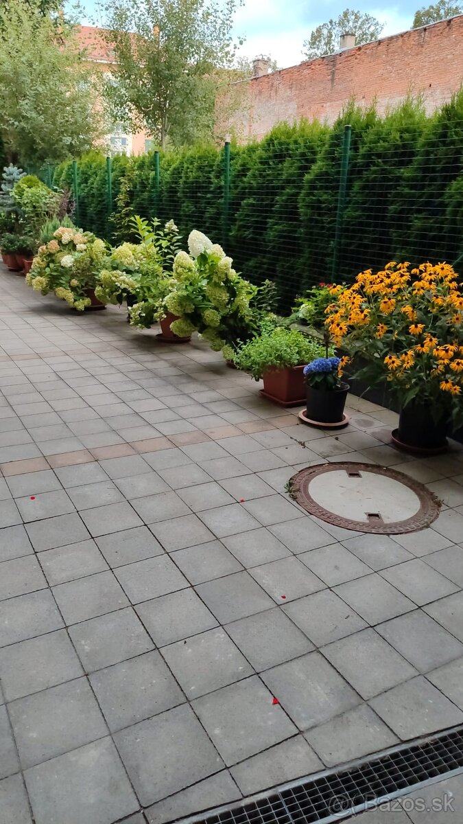 Prenajmem priestory pre ambulanciu vo Zvolene - 11