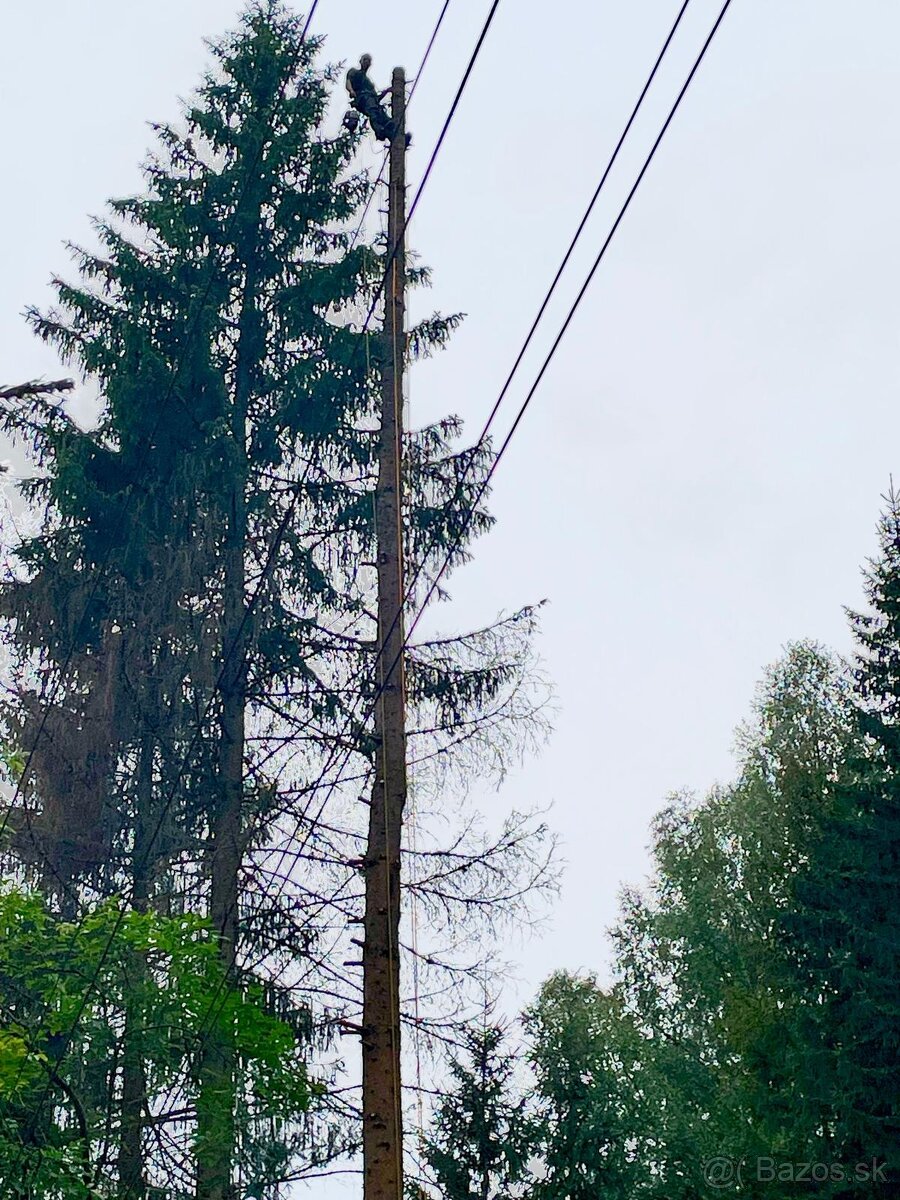 Výrub rizikových stromov - 11