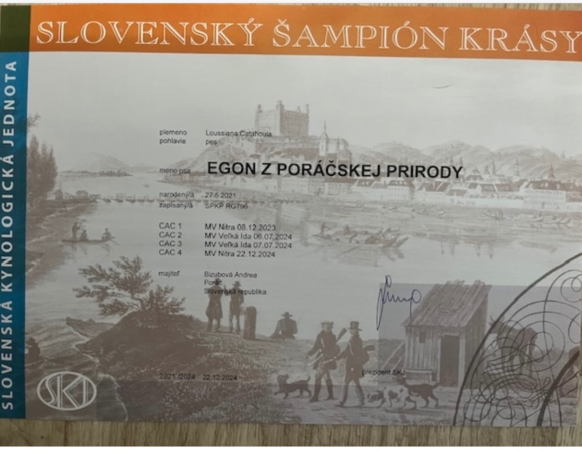 Louisianský leopardí pes - šteniatka s PP - 11