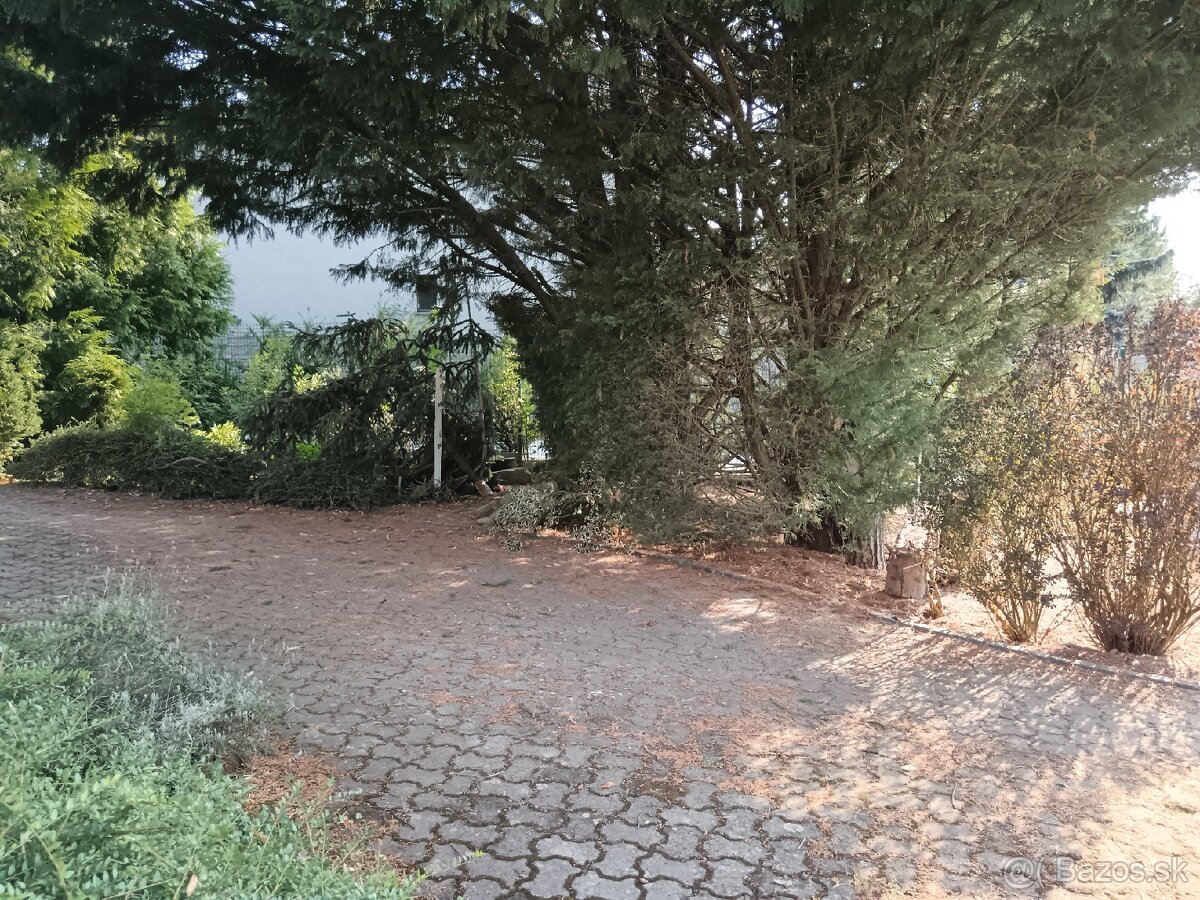 Veľký RD s veľkou záhradou a bazénom v Zlatých Moravciach - 11