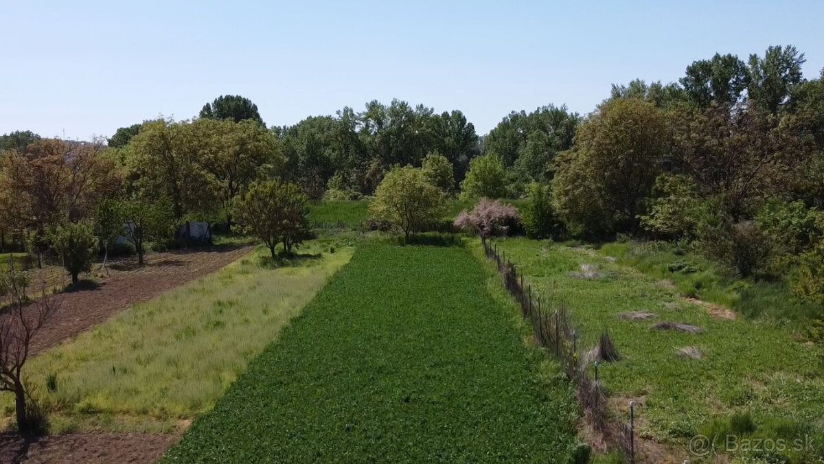 4-IZB. RD s veľkým pozemkom - HLOHOVEC - 11