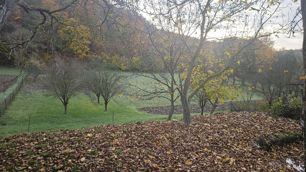 Stavebný pozemok so stodolu - 11