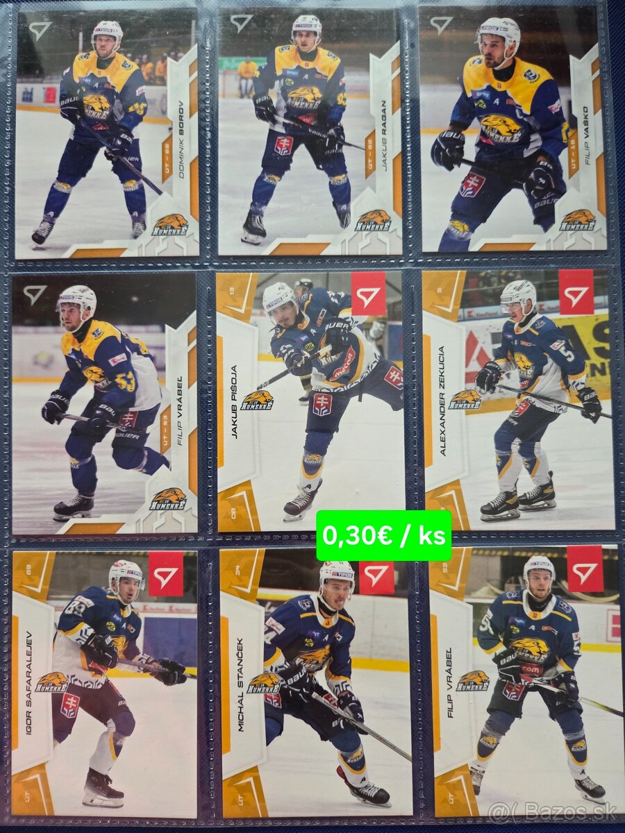 SHL - Dubnica, PB, Humenne, Bratislava - 11