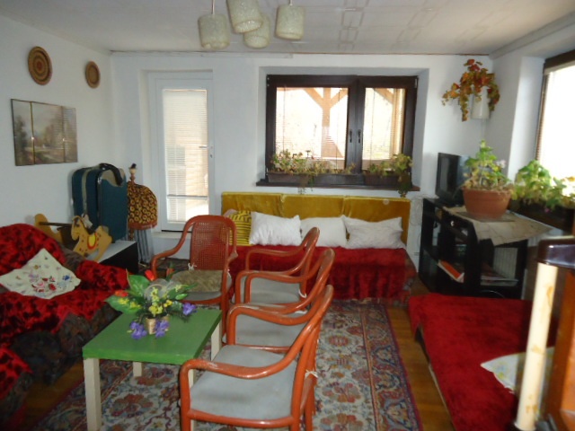 Viničný dom na trvalé bývanie, smer Mýtne Ludany - 11