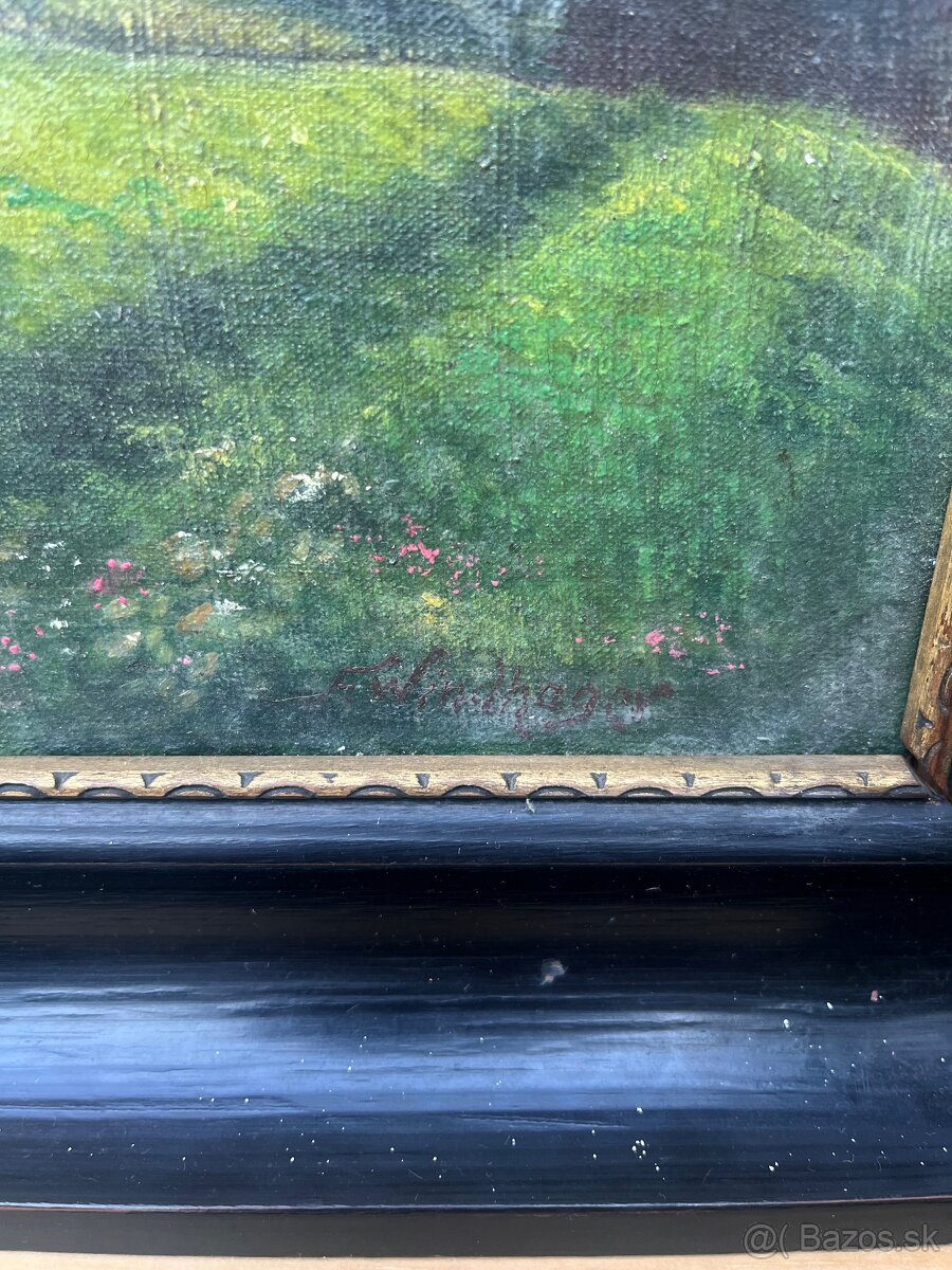 Staré obrazy - 11
