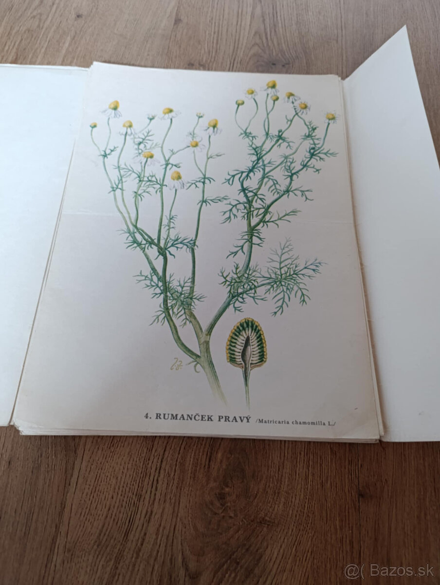 Staré školské pomôcky - 11