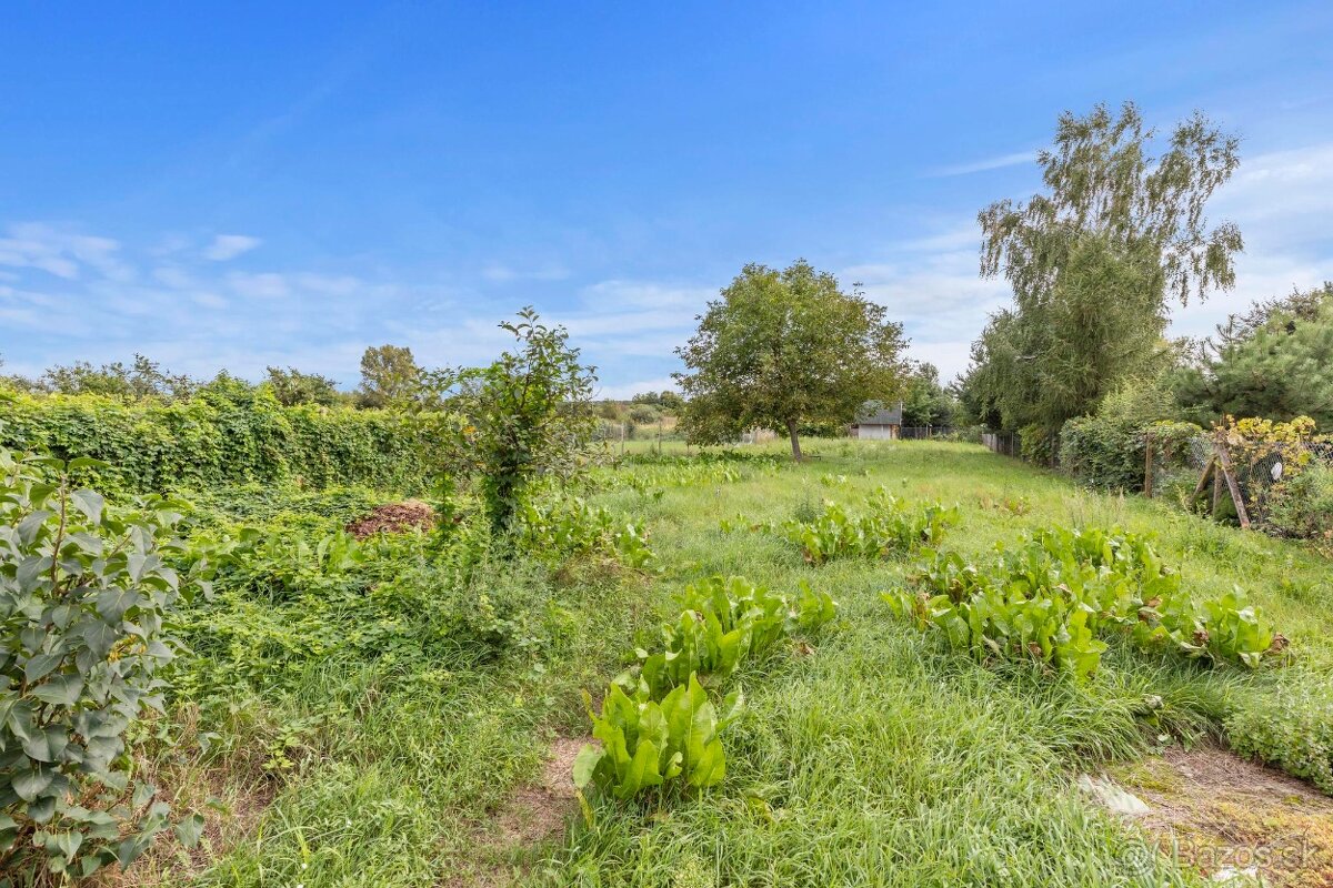 Ponúkame na predaj veľmi príjemný rodinný dom v Jakubove - 11