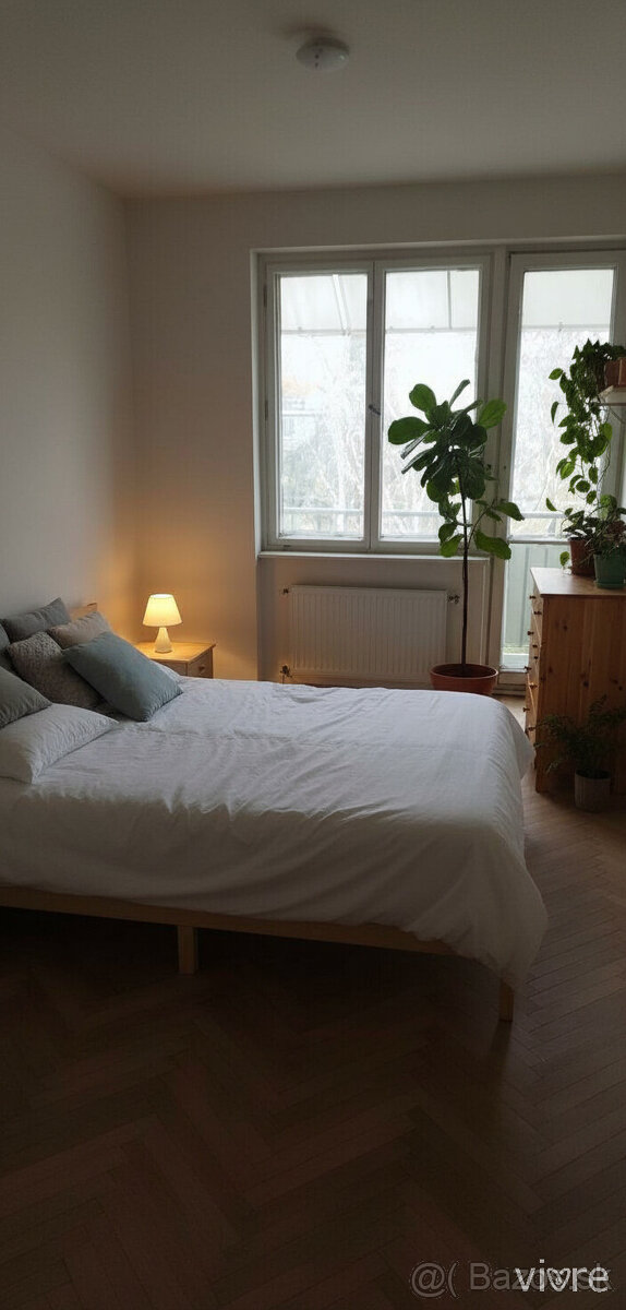 PREDANÉ- 2izb. byt ZM, výhodná cena - 11