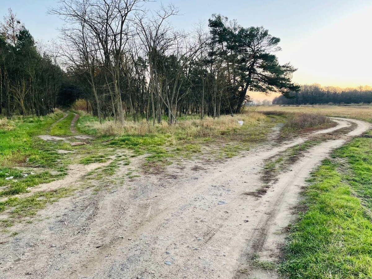 Veľký Pozemok 45 172 m² pri Malých Levároch - 11