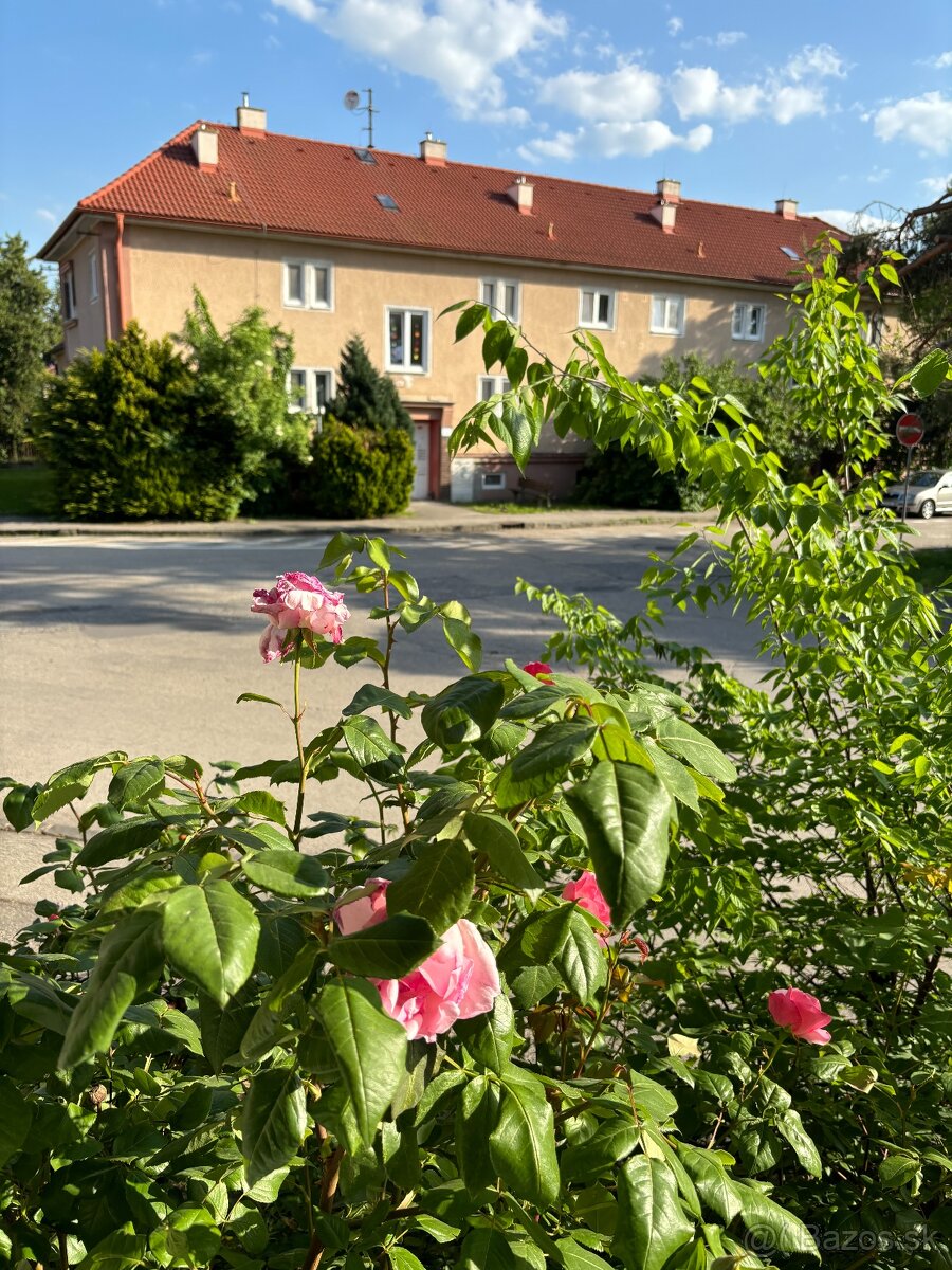 2-izbový byt na prenájom v centre - Nitra - 11