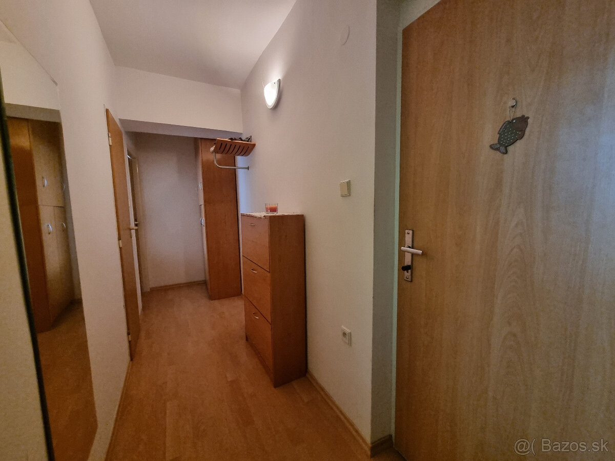 1 IZBOVÝ TEHLOVÝ BYT -BREZOVÁ p.B. - VOĽNÝ +ZN.POSUDOK - 11