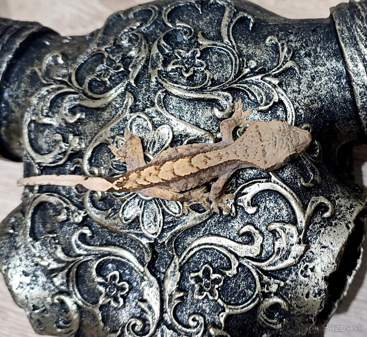 Pagekon Riasnaty - 11