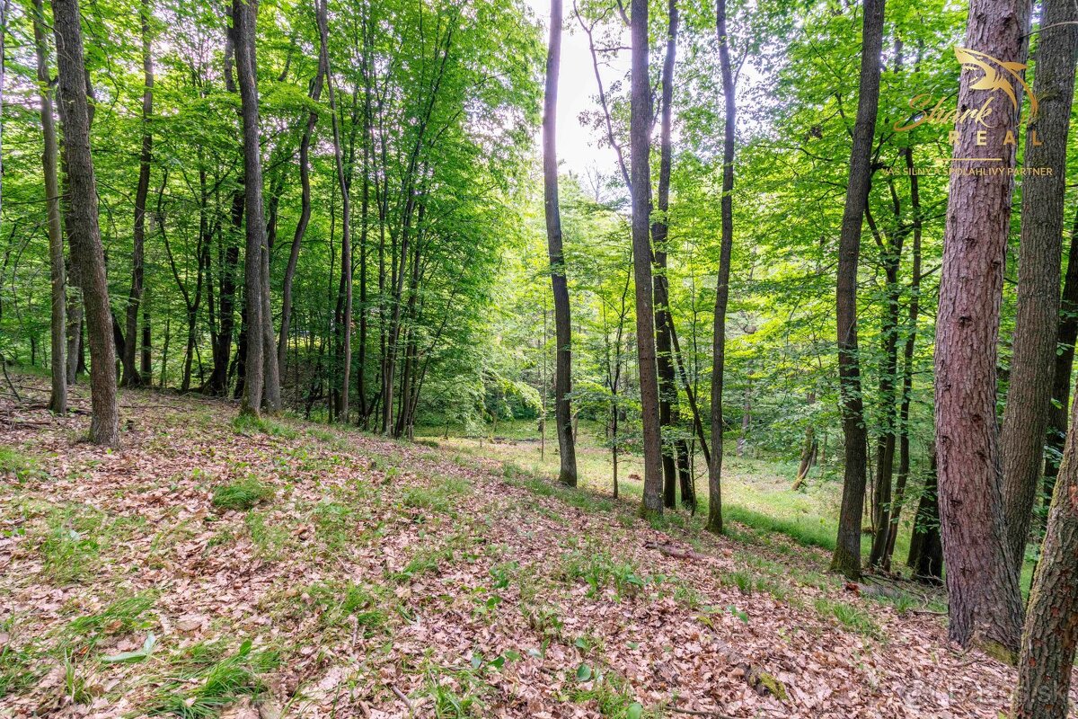 Pozemok v lone prírody s potôčikom– ideálny pre vašu vysníva - 11