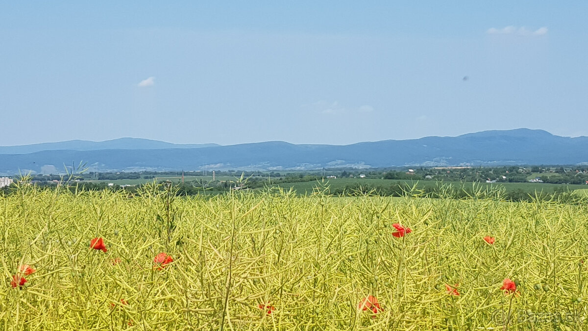 Predám dva vinohradnícke domy s pozemkami medzi vinohradmi p - 11