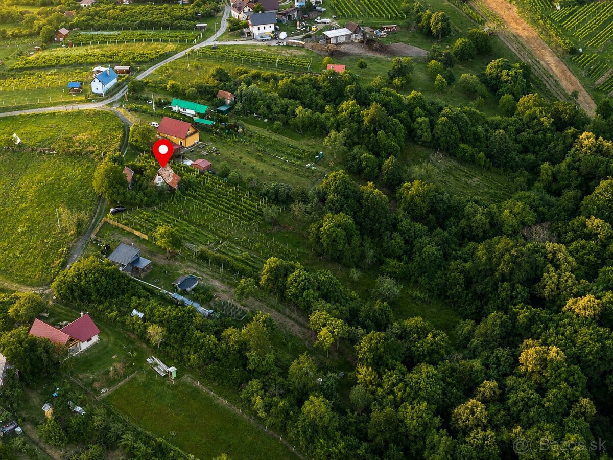 NA PREDAJ VINICA S VINIČNOU CHATKOU - 11