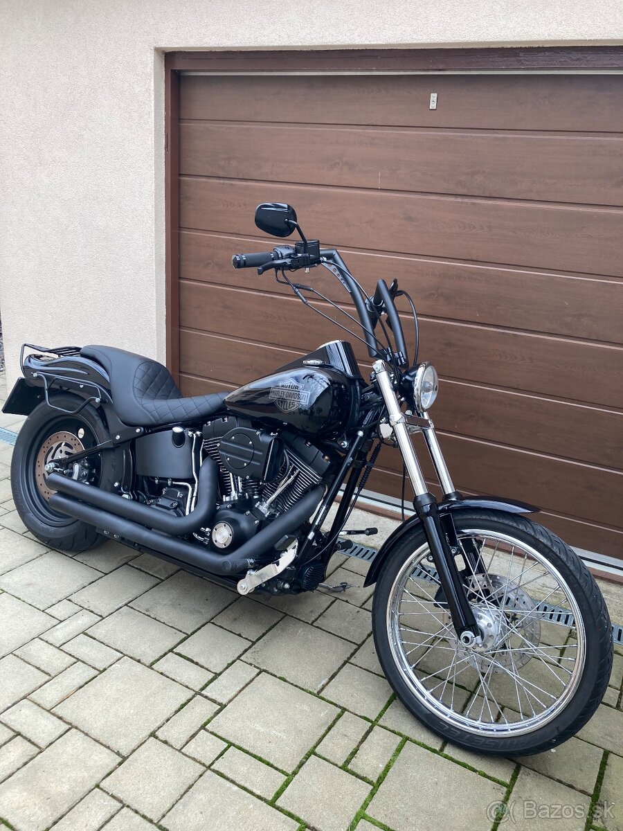 Harley Davidson-softail - 11