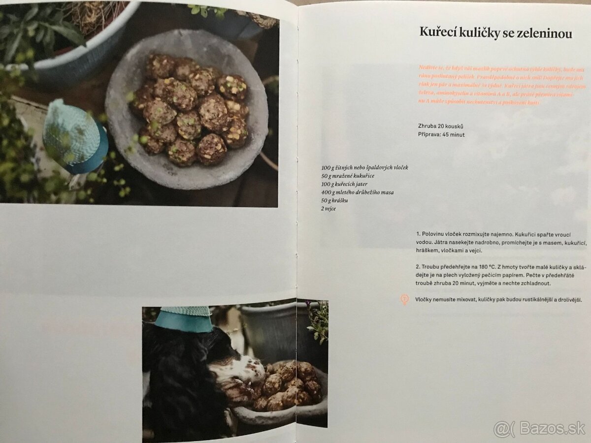 Bukovský, Psy, Golf Fyzika, Malý atlas húb, Slovenský futbal - 11