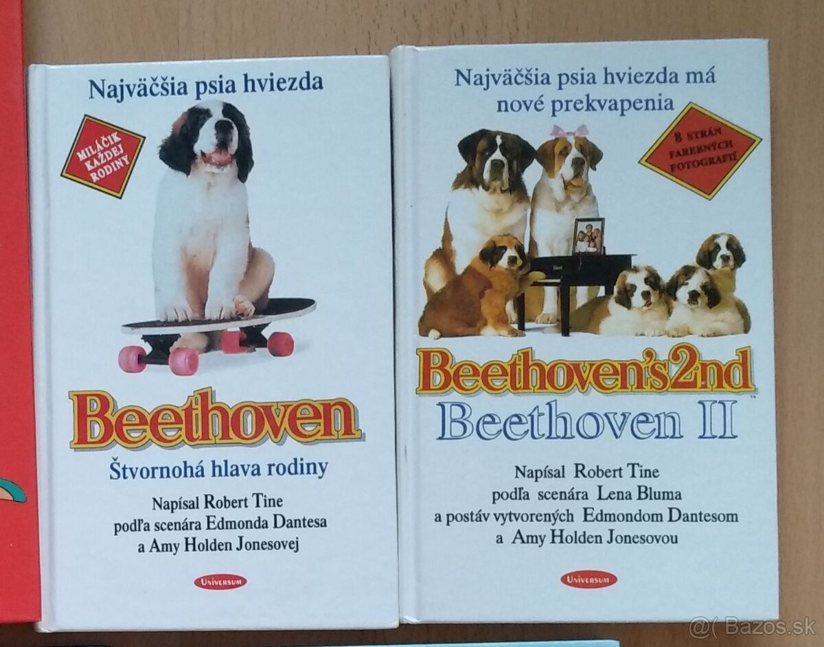 Knižky pre deti a leporelá - 11