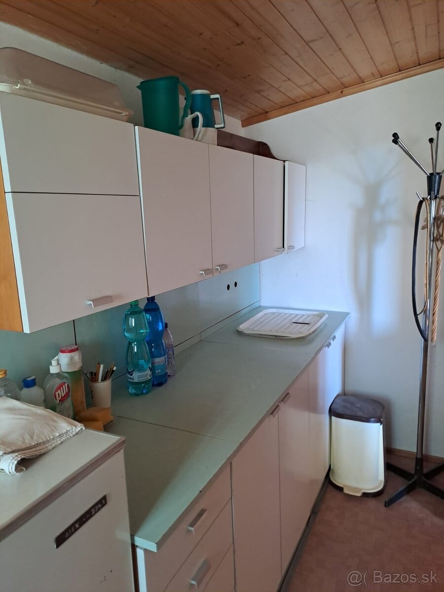 ZÁHRADA S CHATKOU A PIVNICOU pri Piešťanoch - 11