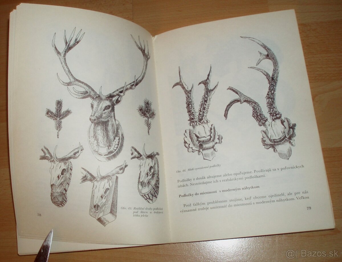 Poľovnícke trofeje a výrobky - 11