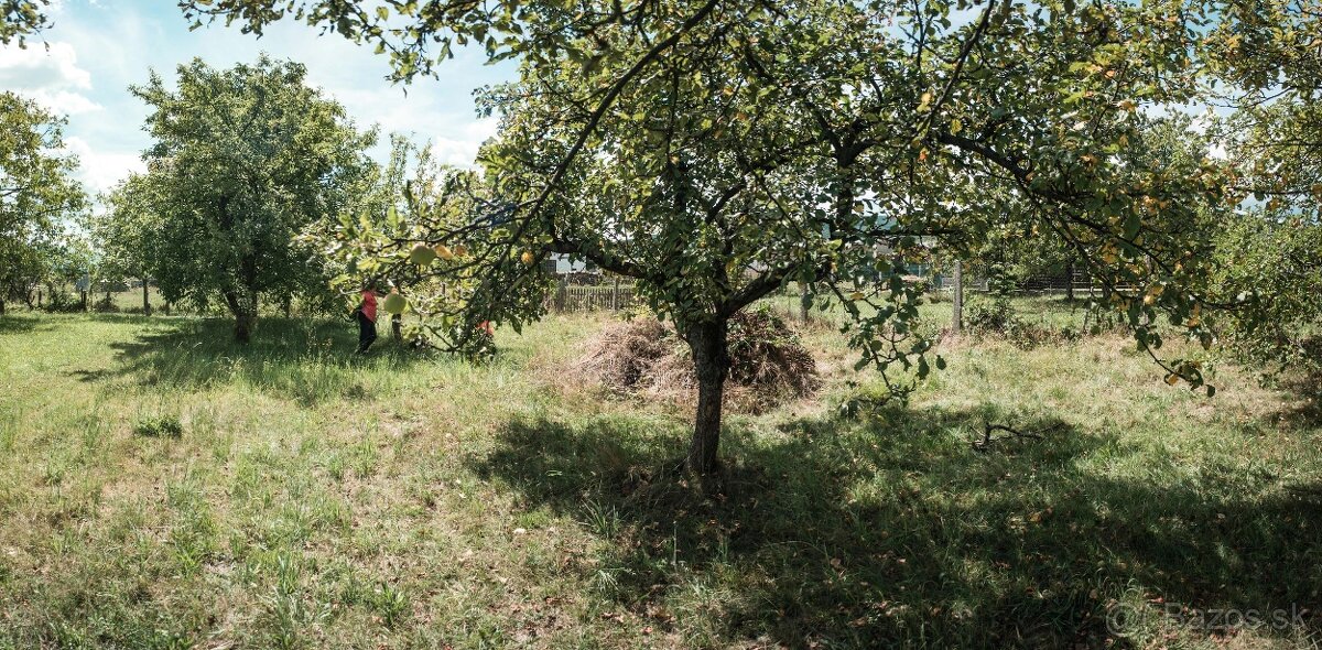 Záhrada s ovocnými stromami v Porube - 11
