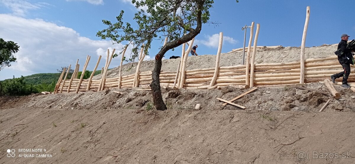 Agát, Agátové ploty - 11